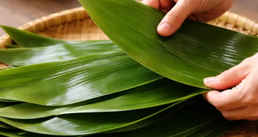 Step 1: Select the Right Leaves