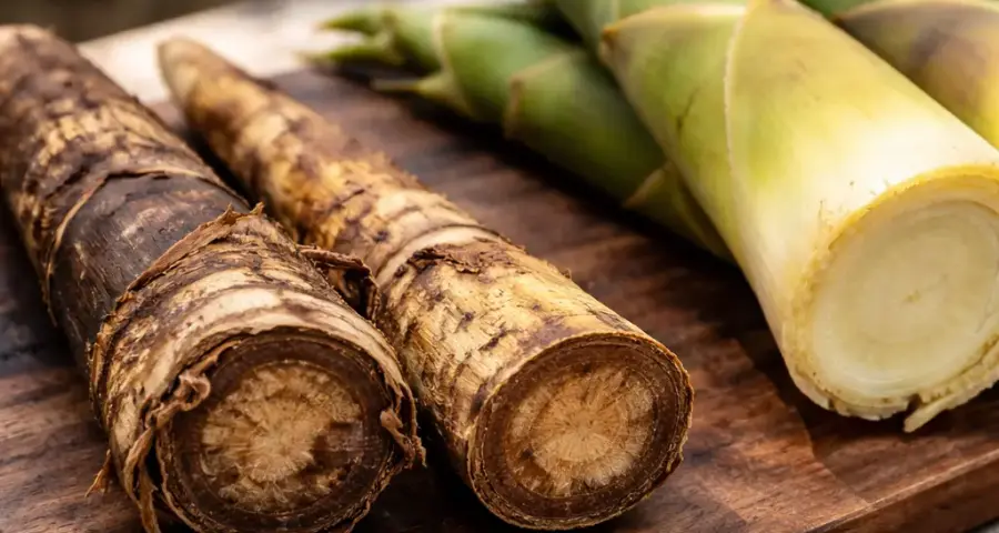 Mistake 1: Using Old or Wooden Bamboo Shoots