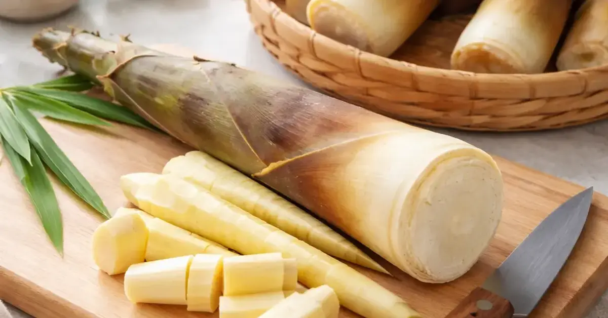fresh bamboo shoot, buy fresh bamboo shoot, first time bamboo shoot buyer guide, how to choose fresh bamboo shoots