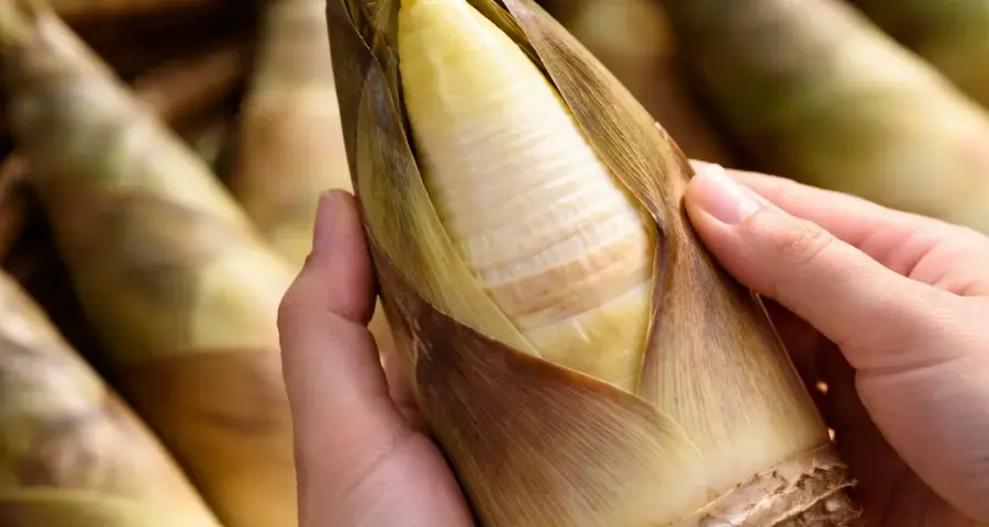 Step 1: Look at the Husk and Tip