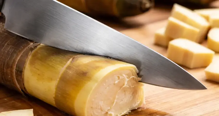 Why a Sharp Knife Is Critical for Tough Bamboo Shoots