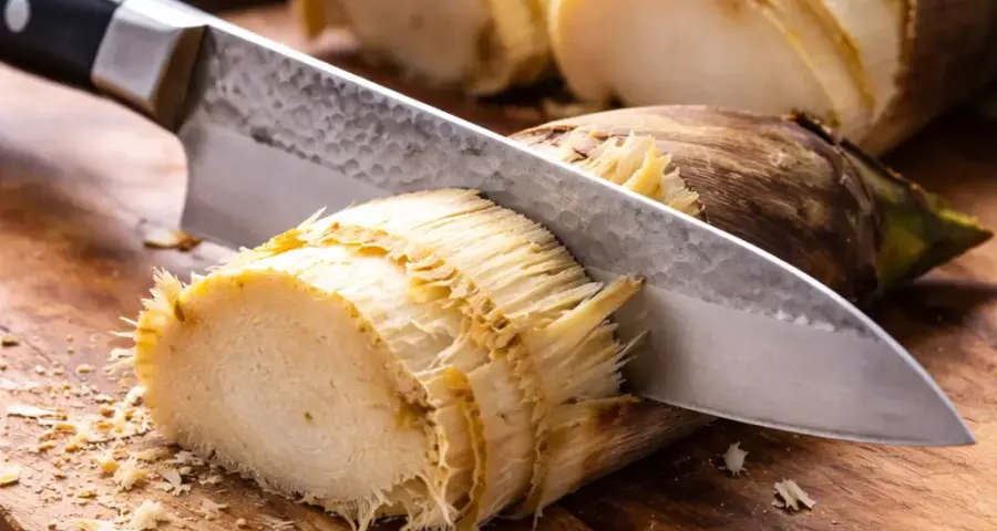 What Makes Bamboo Shoots So Tough on Knives