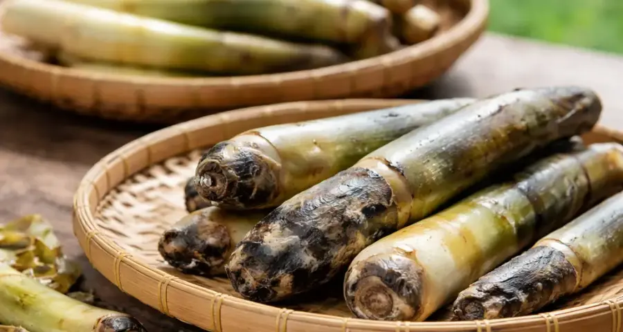 Why Most People Fail to Store Fresh Rebung Without Fridge