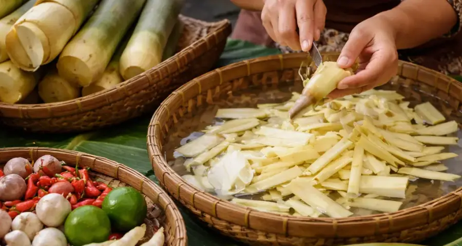 How to Source and Prep Bamboo Shoots Like a Sundanese Cook