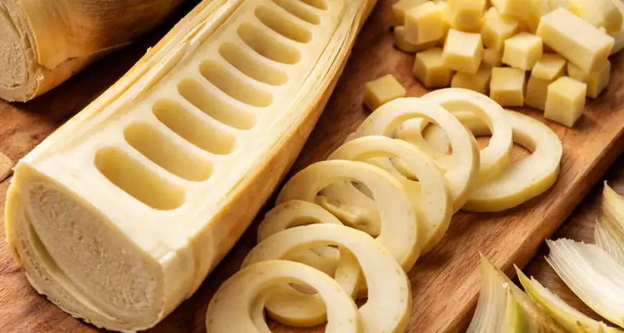 The anatomy of a bamboo shoot